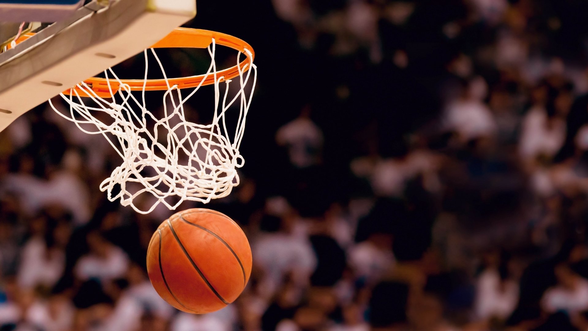ayx sports-请提供您需要分析的具体内容，以便我为您生成标题。